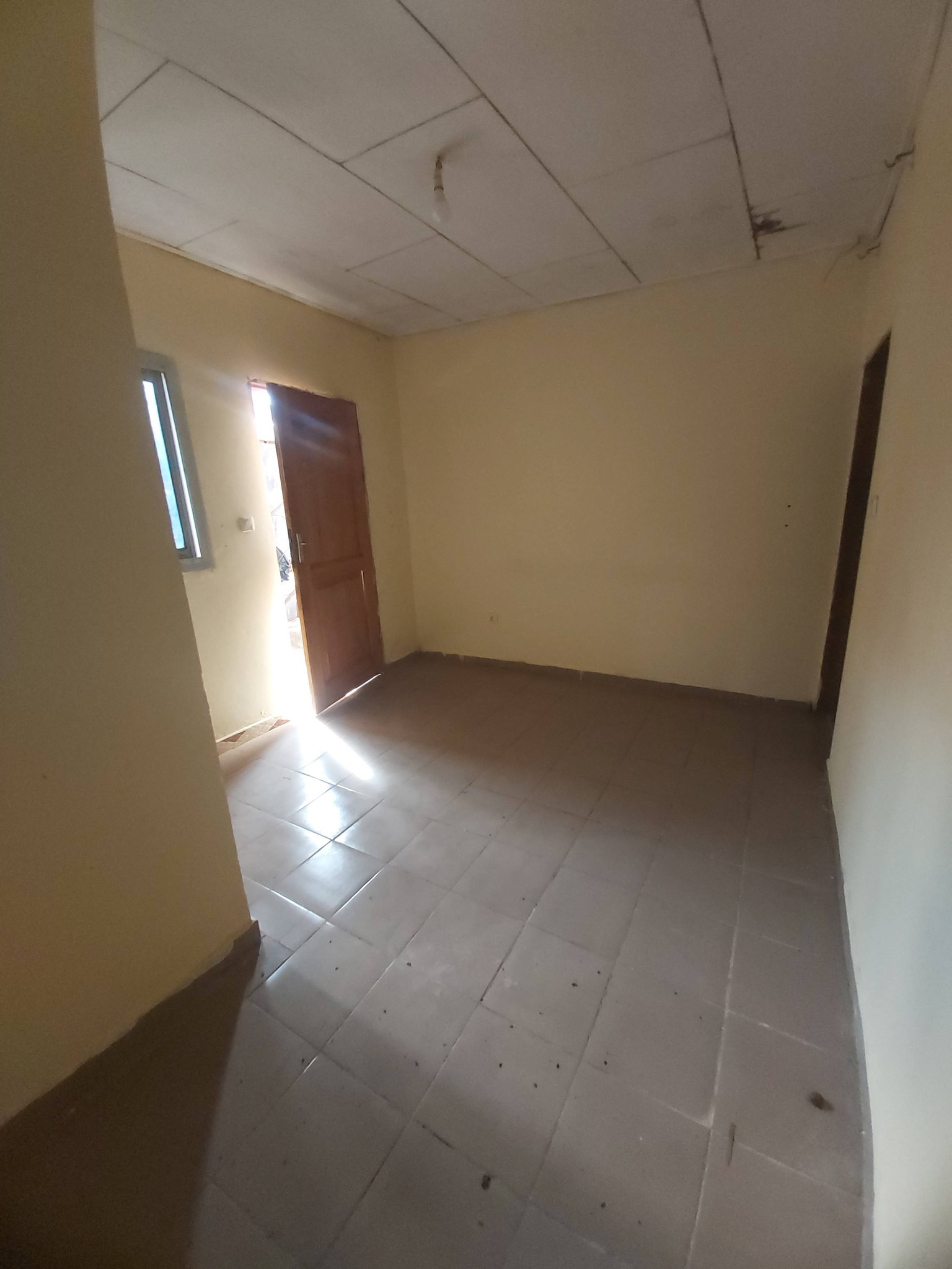 Studio moderne à Biyemassi — photo 4