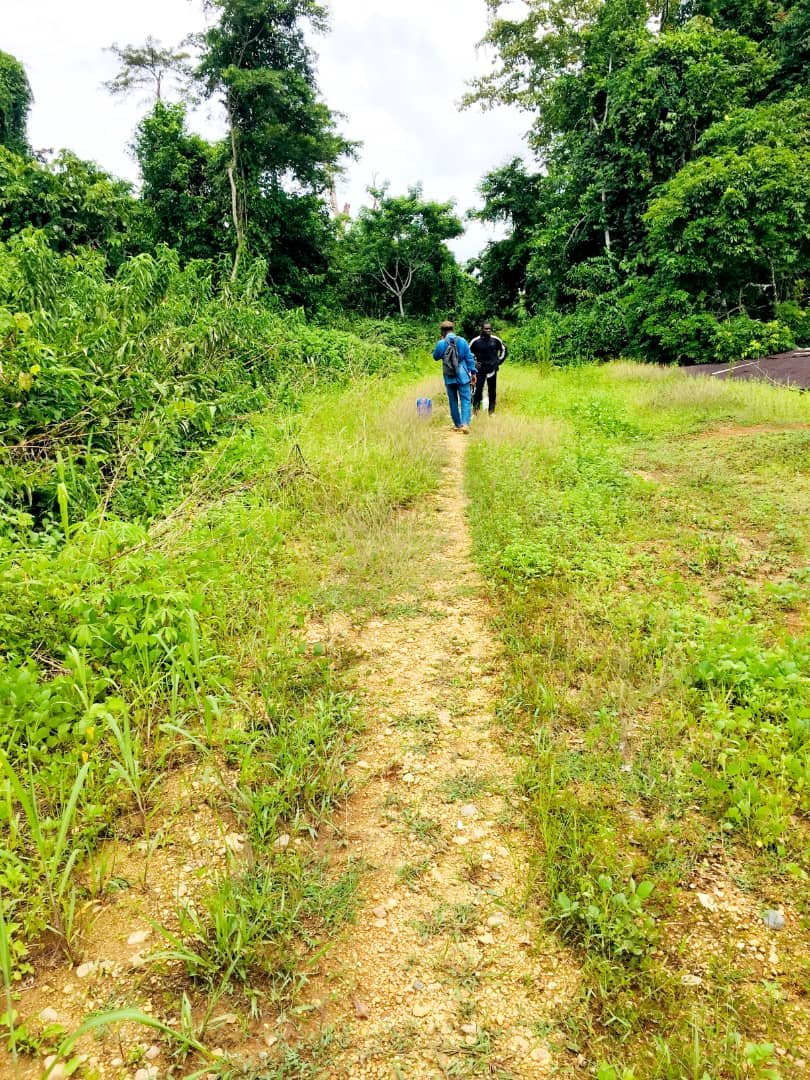 Vente d'un terrain de 223 hectares titré — photo 2