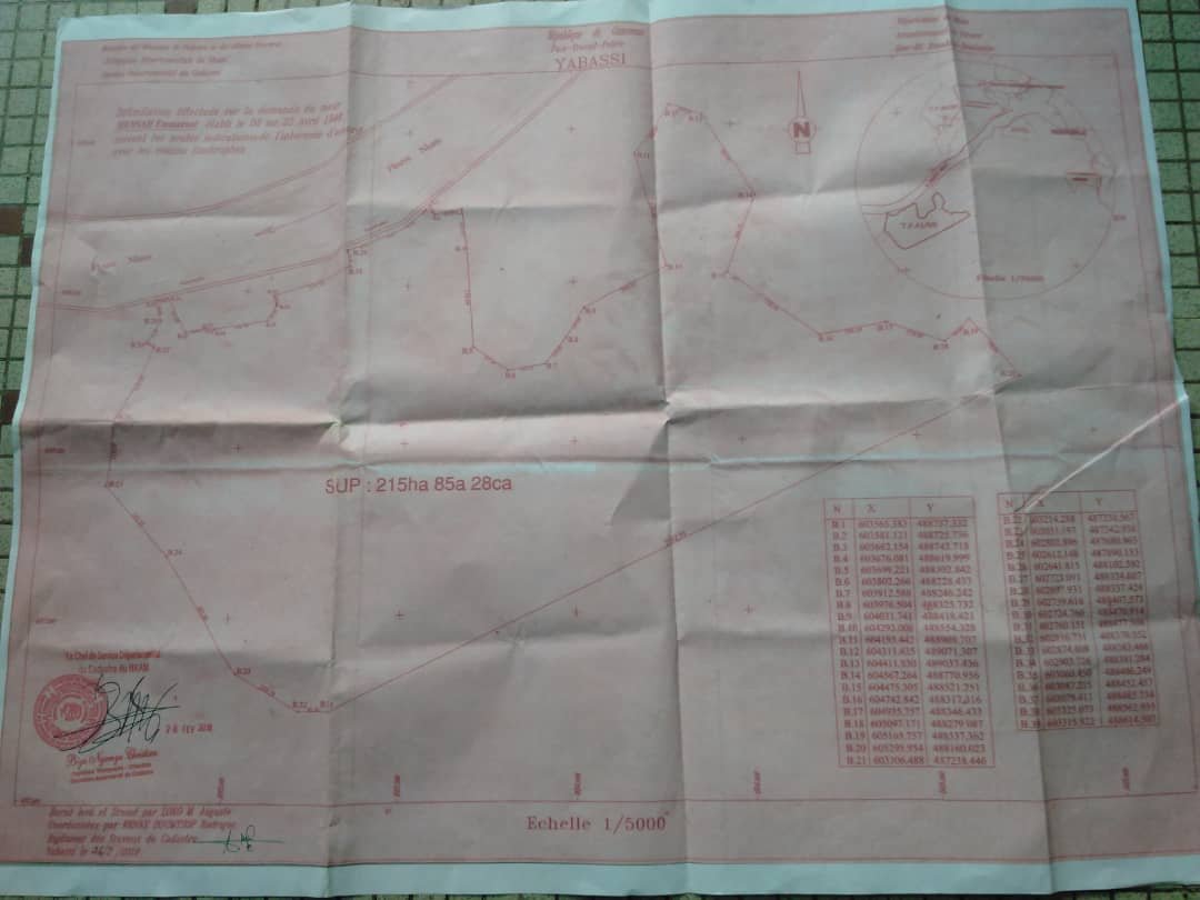 Vente d'un terrain de 223 hectares titré — photo 4