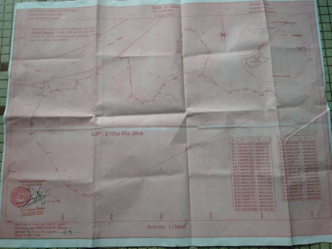 Vente d'un terrain de 223 hectares titré — photo 6