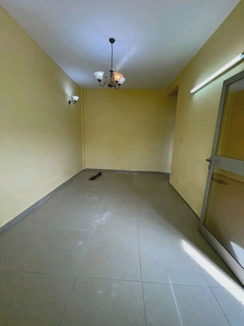 Studio moderne — photo 2