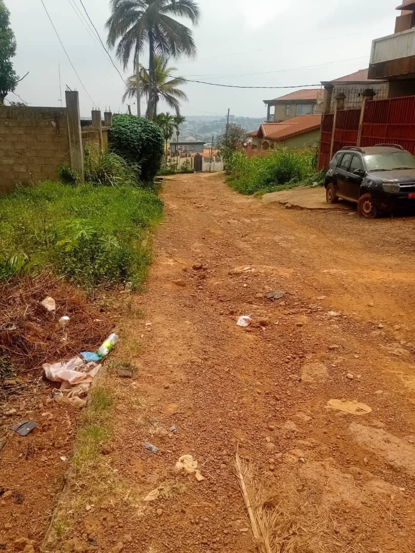 Terrain plat  titré - Image 2