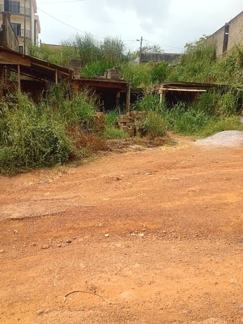 Terrain plat  titré - Image 3