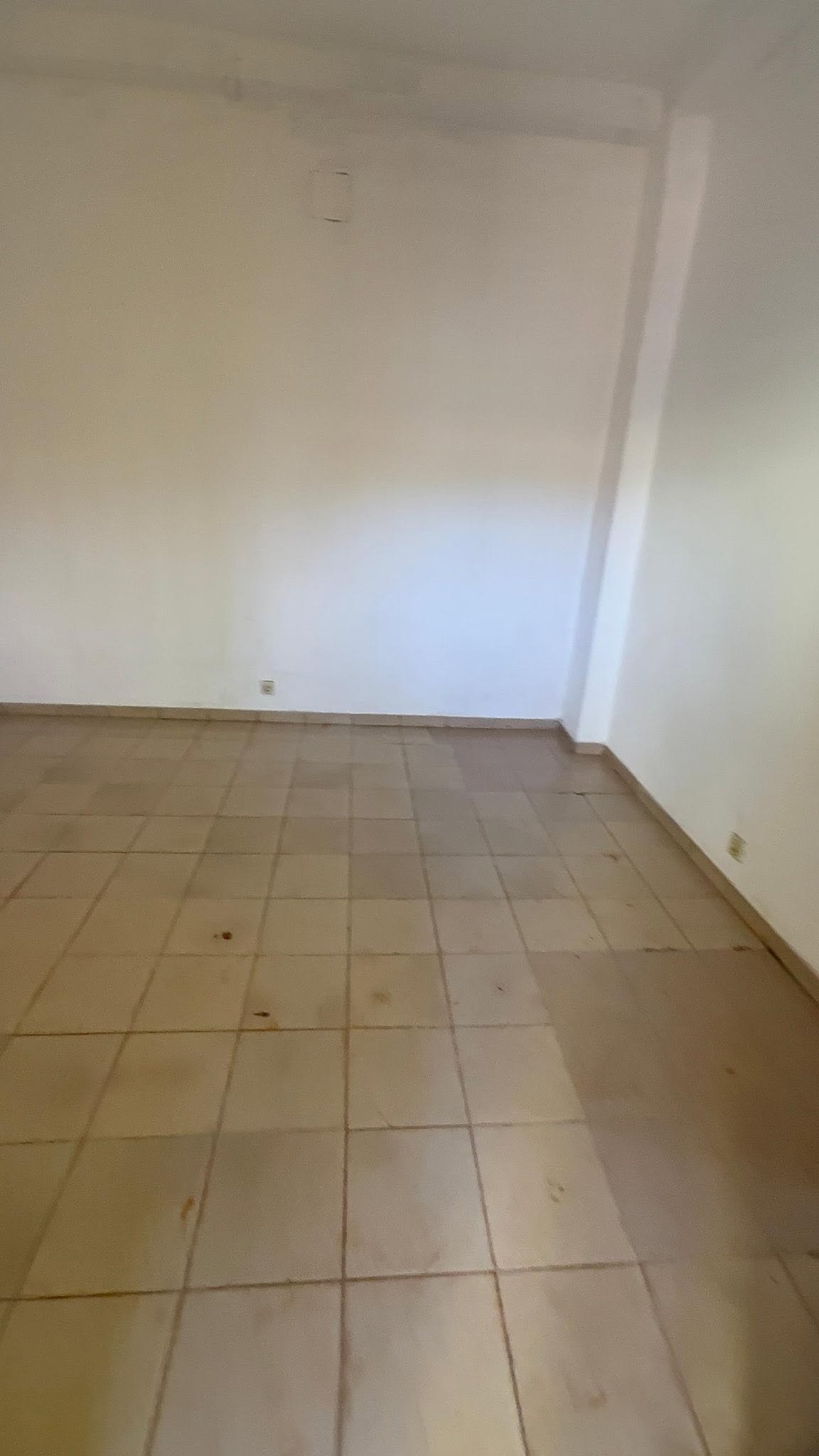 VASTE APPARTEMENT — photo 4