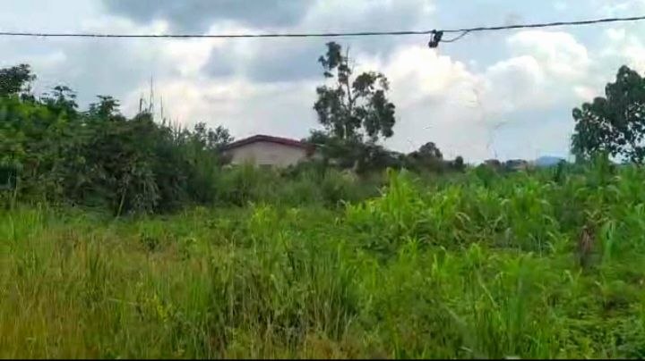 Terrain titré de 3 000 m² à fort potentiel commercial ou résidentiel – Yaoundé (Nyom)