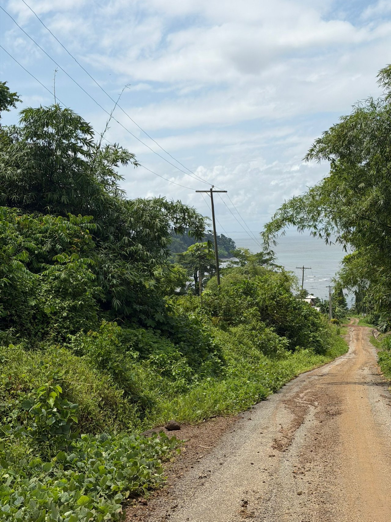 Land for sale at Bokwai Buea