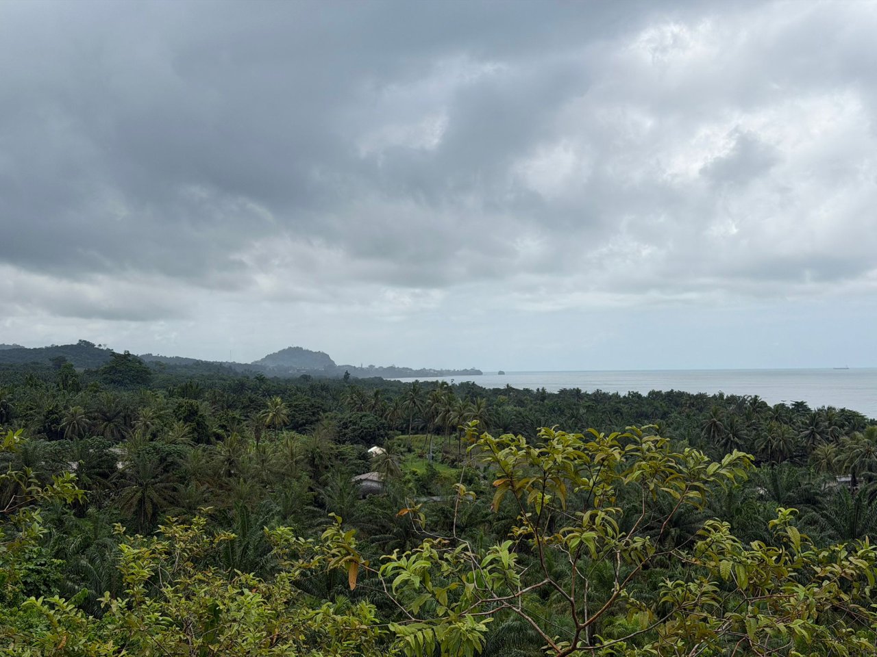 Land for sale at Bokwai Buea — photo 2