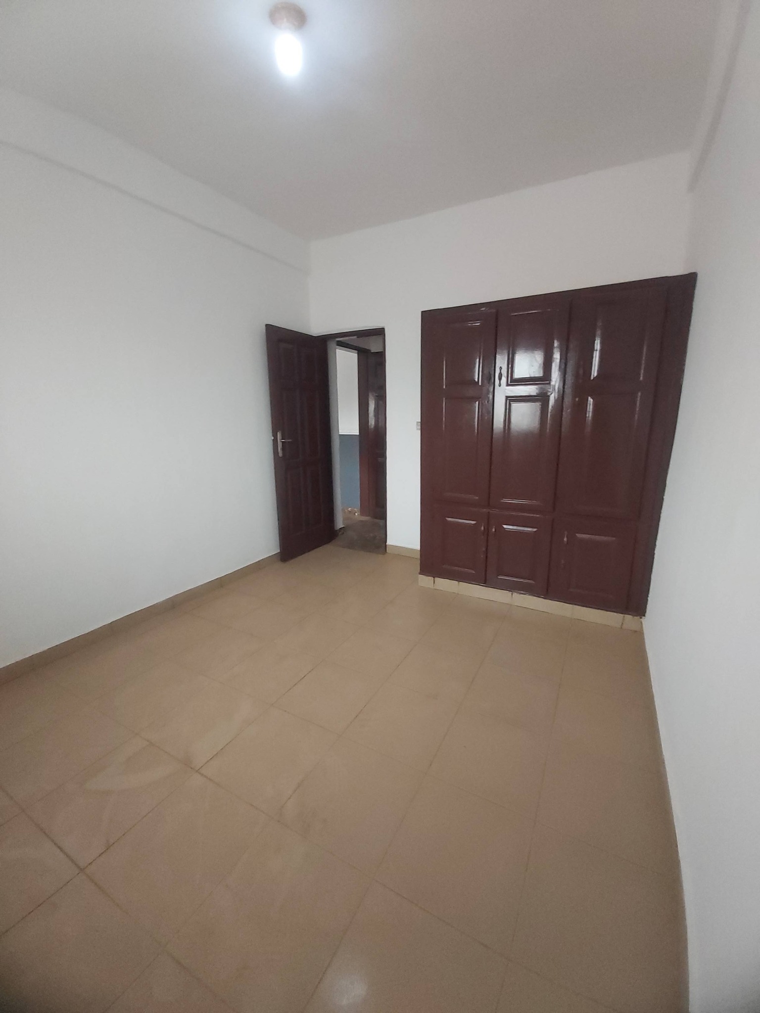 Appartement moderne — photo 8
