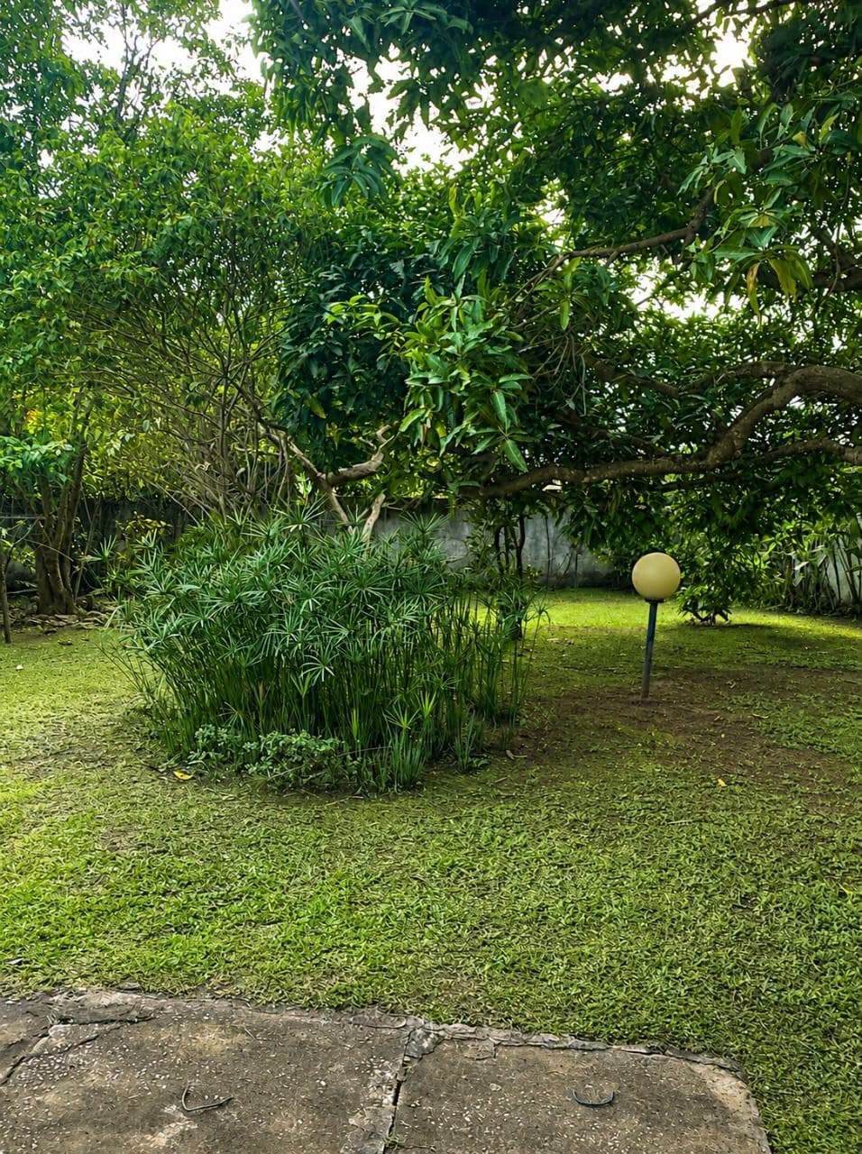 Villa à louer — photo 5
