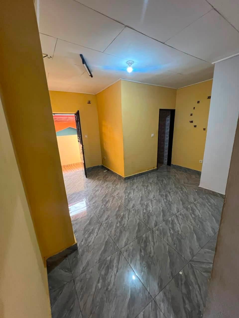 STUDIO A  ELEVEUR 60milles — photo 2