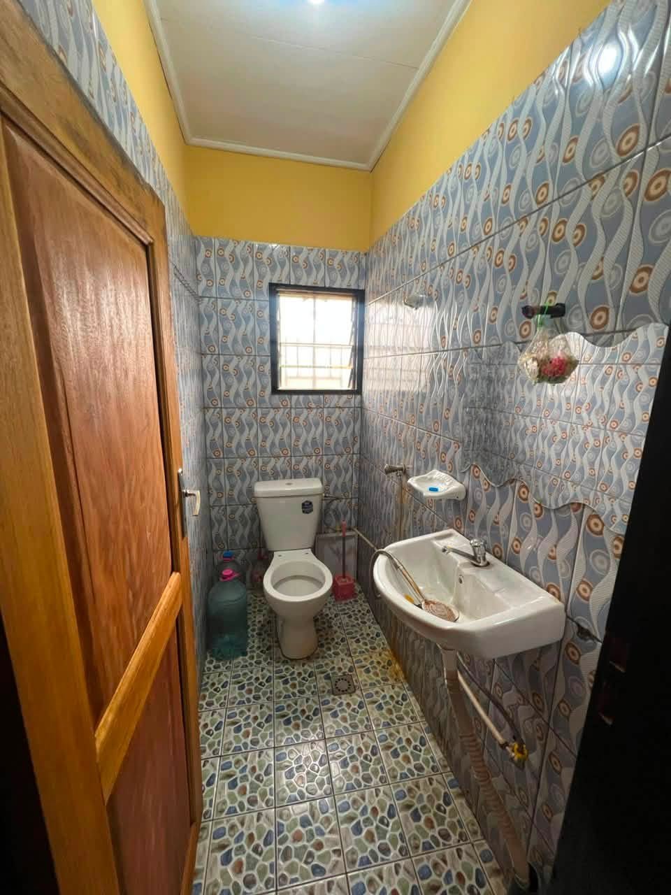 STUDIO A  ELEVEUR 60milles — photo 3