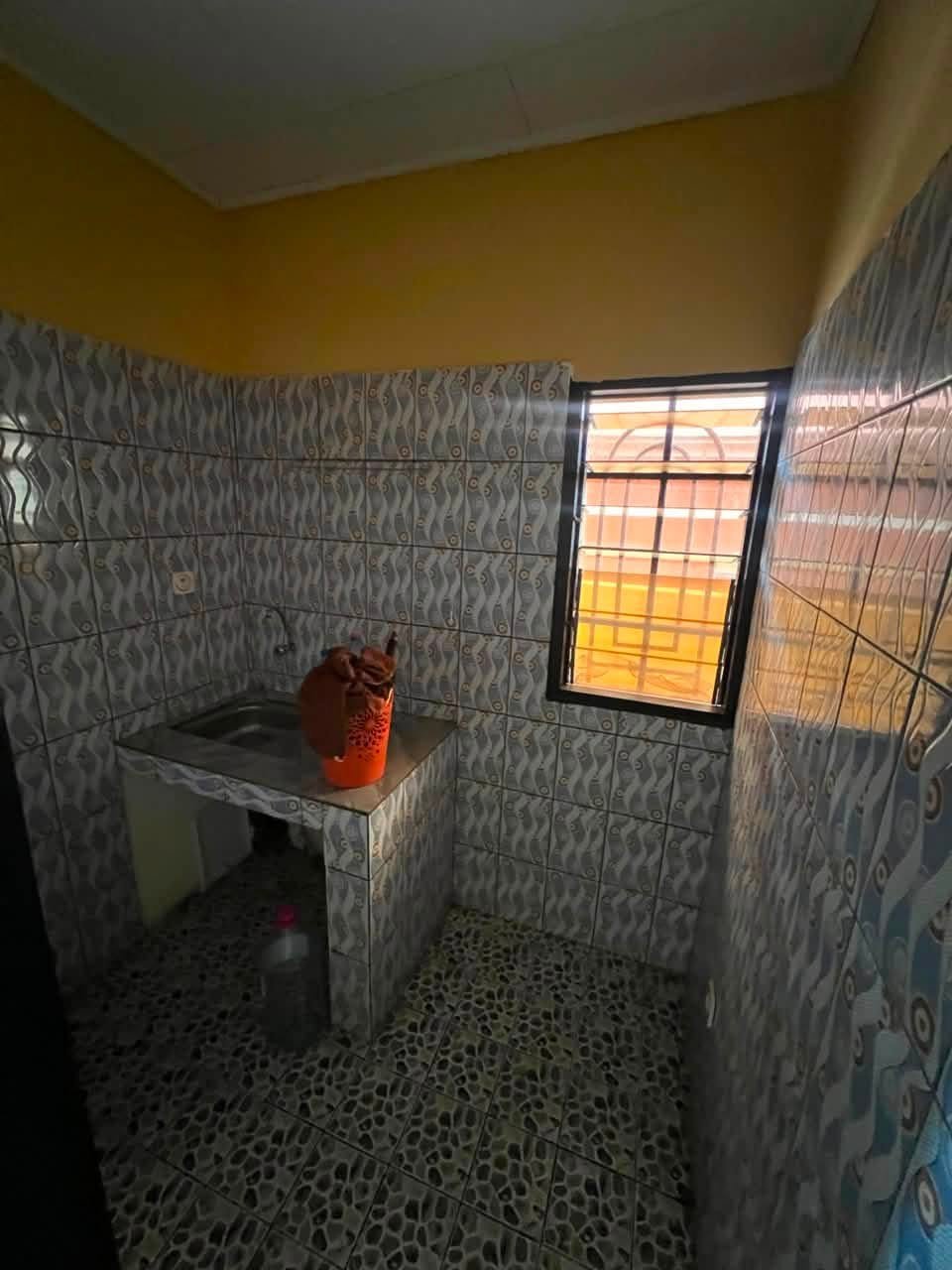 STUDIO A  ELEVEUR 60milles — photo 4