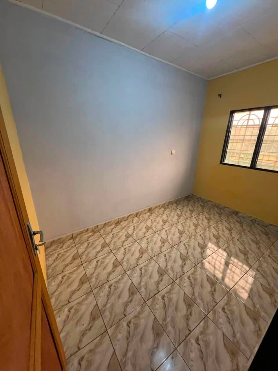 STUDIO A  ELEVEUR 60milles — photo 5