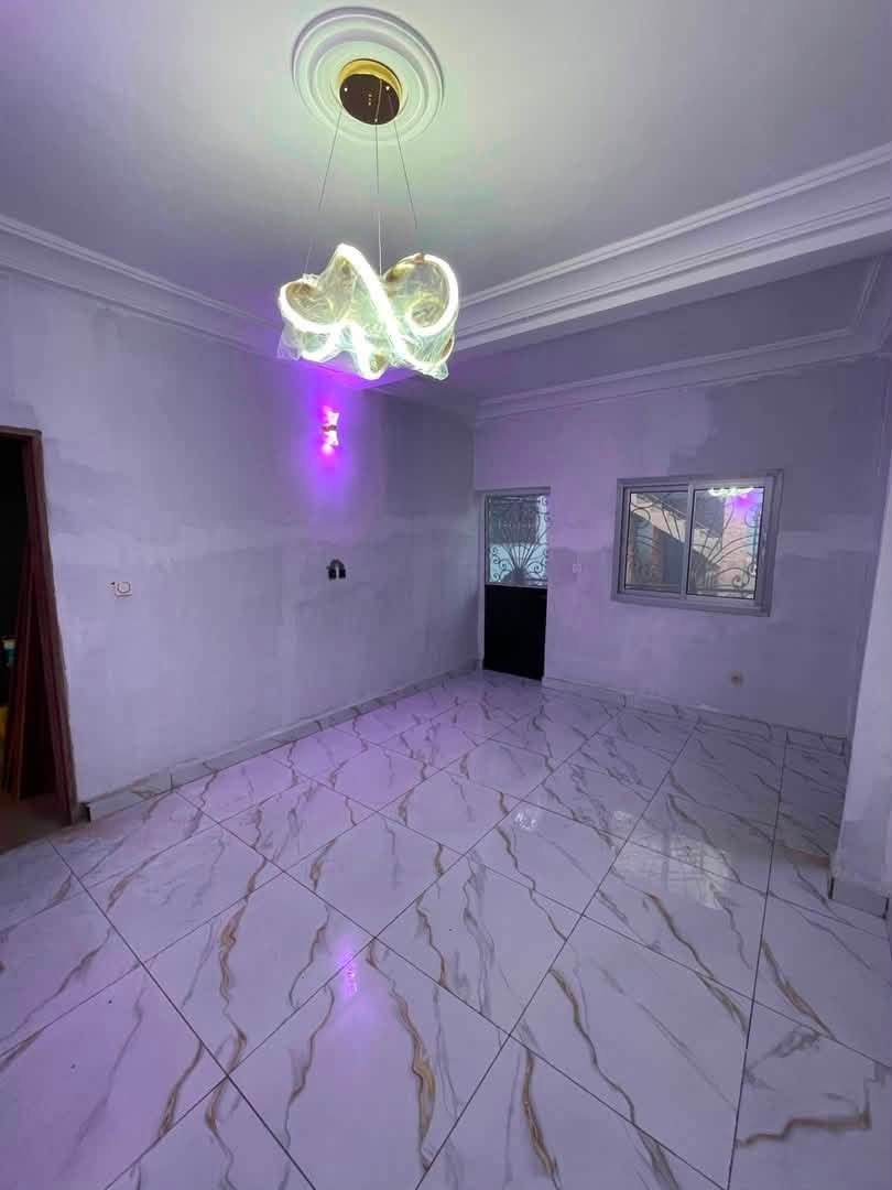 STUDIO VIP NOUVELLEMENT CONSTRUIT — photo 1