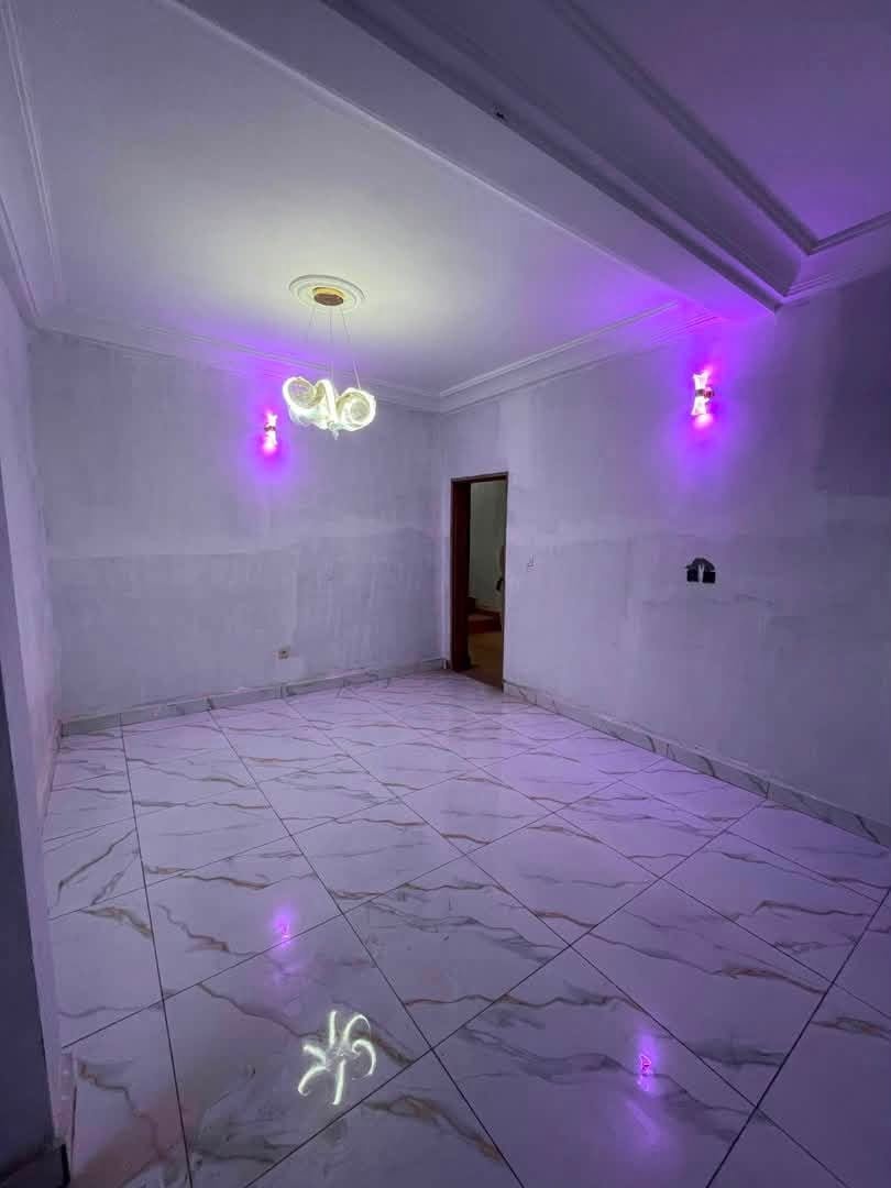 STUDIO VIP NOUVELLEMENT CONSTRUIT — photo 2