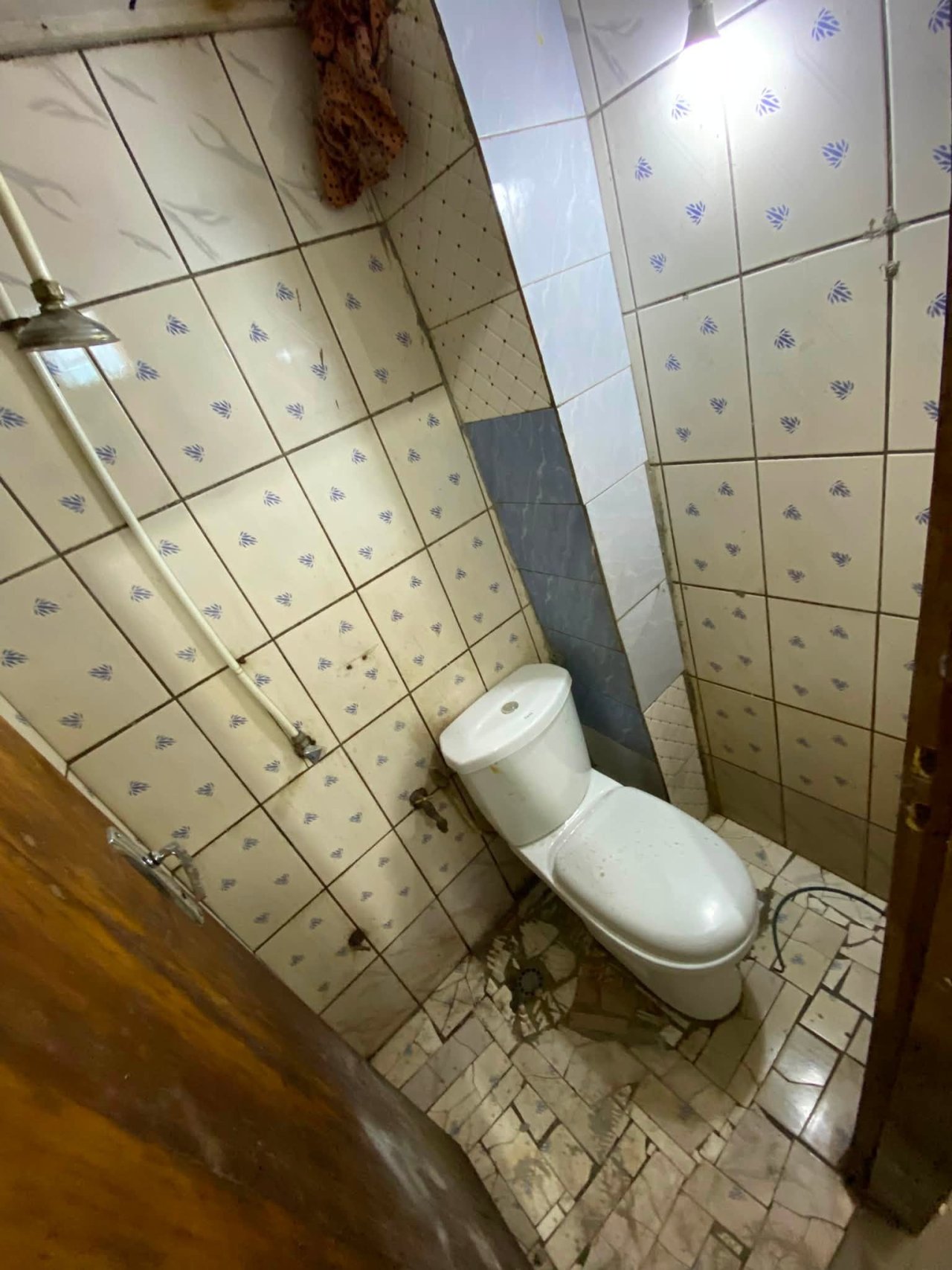 MAGNIFIQUE CHAMBRE À TRADEX ÉLEVEUR — photo 2