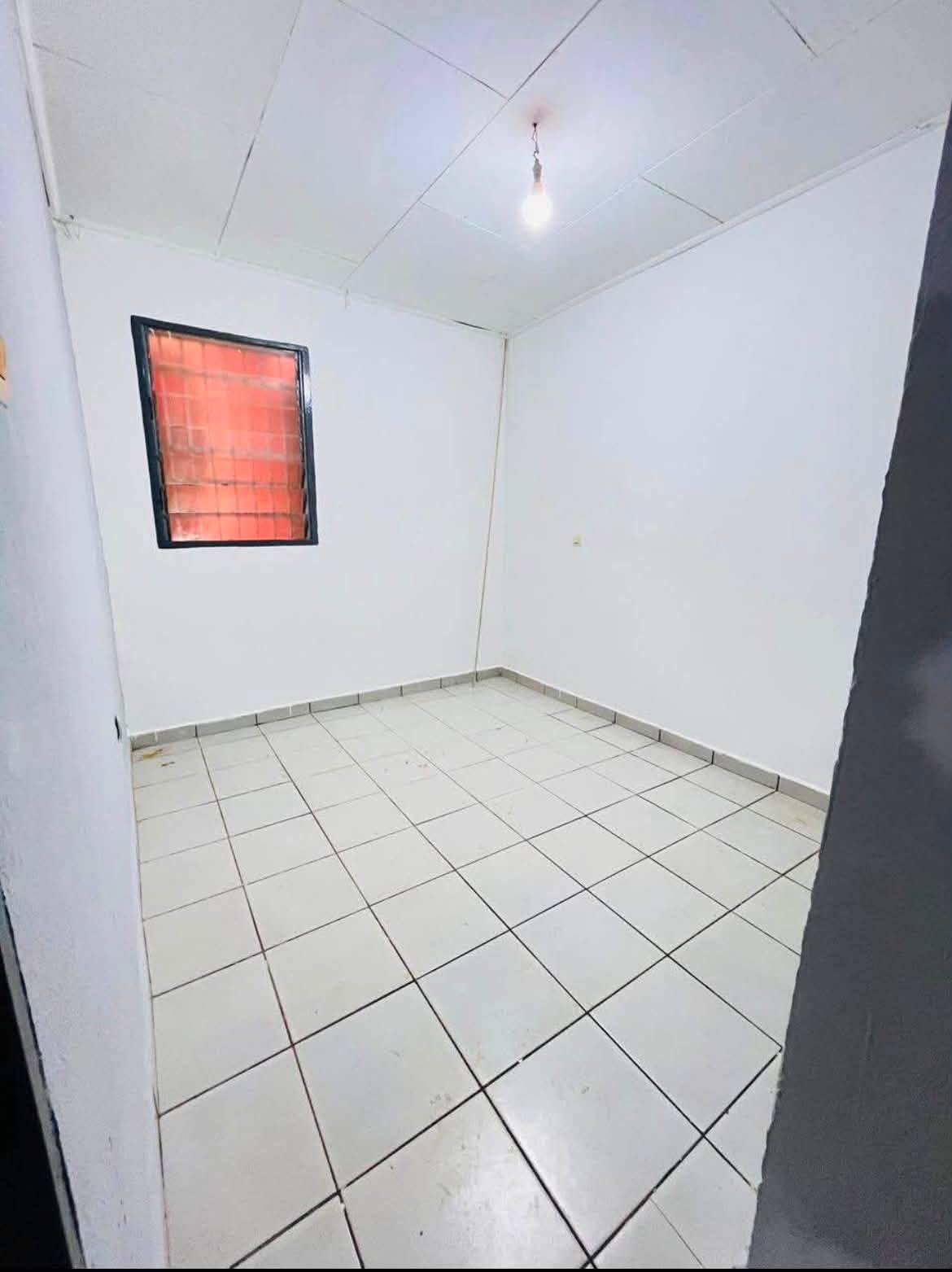Studio moderne — photo 7