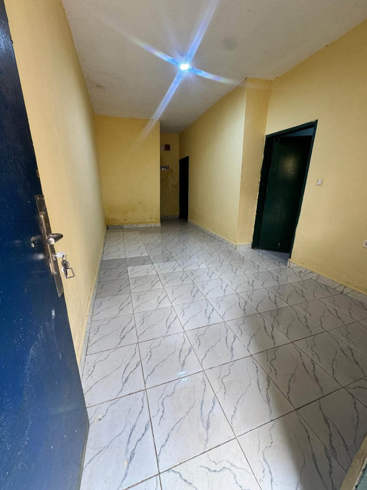 STUDIO MODERNE À LOUER — photo 2