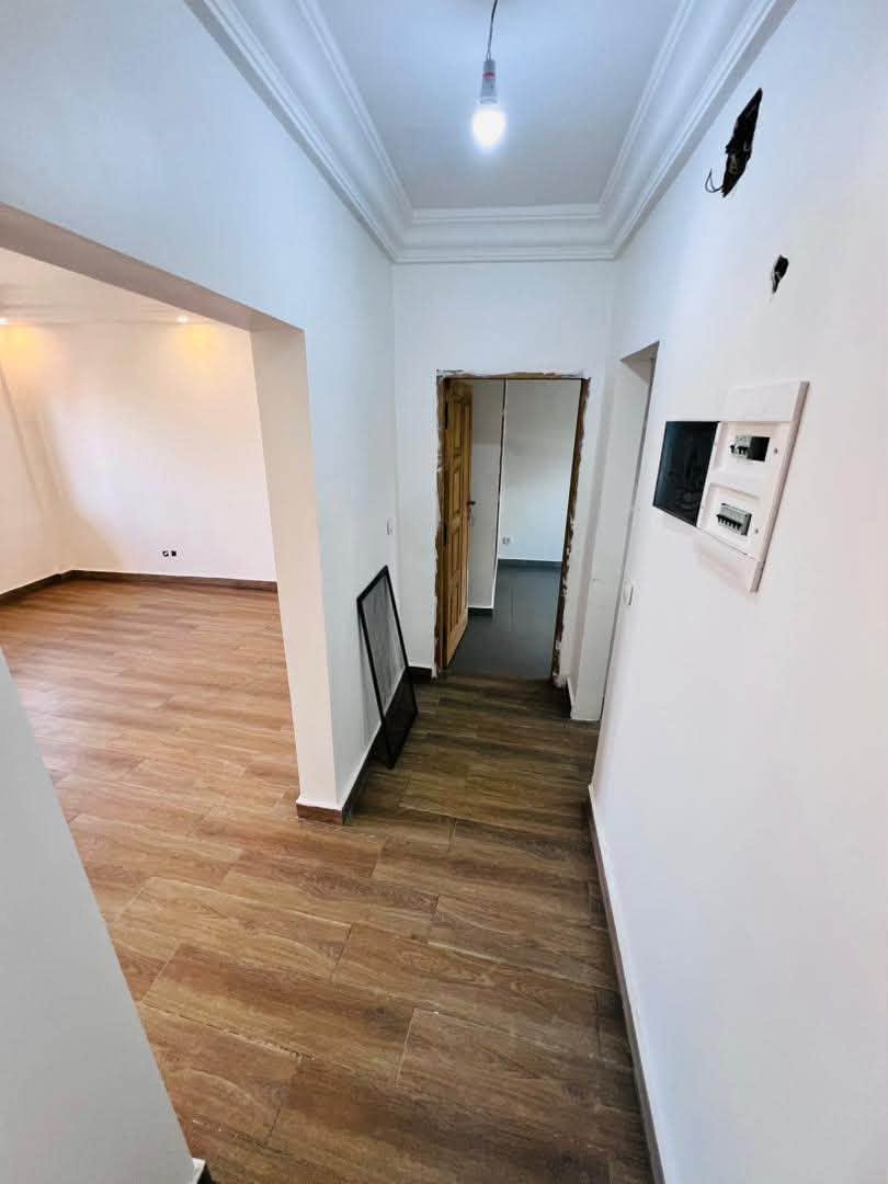 Manifique appartement — photo 8