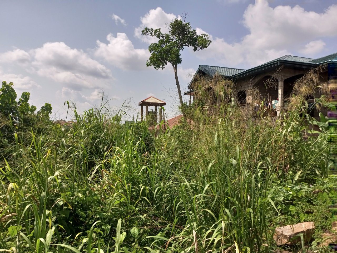 TERRAIN TITRÉ EN VENTE À NYOM — photo 4