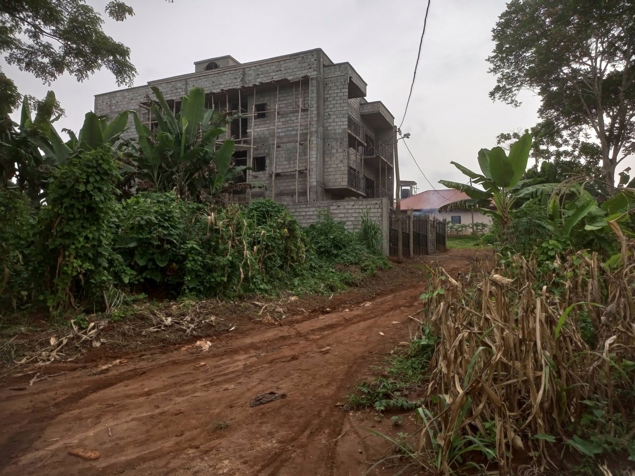 TERRAIN EN VENTE A AFANAYOA — photo 3
