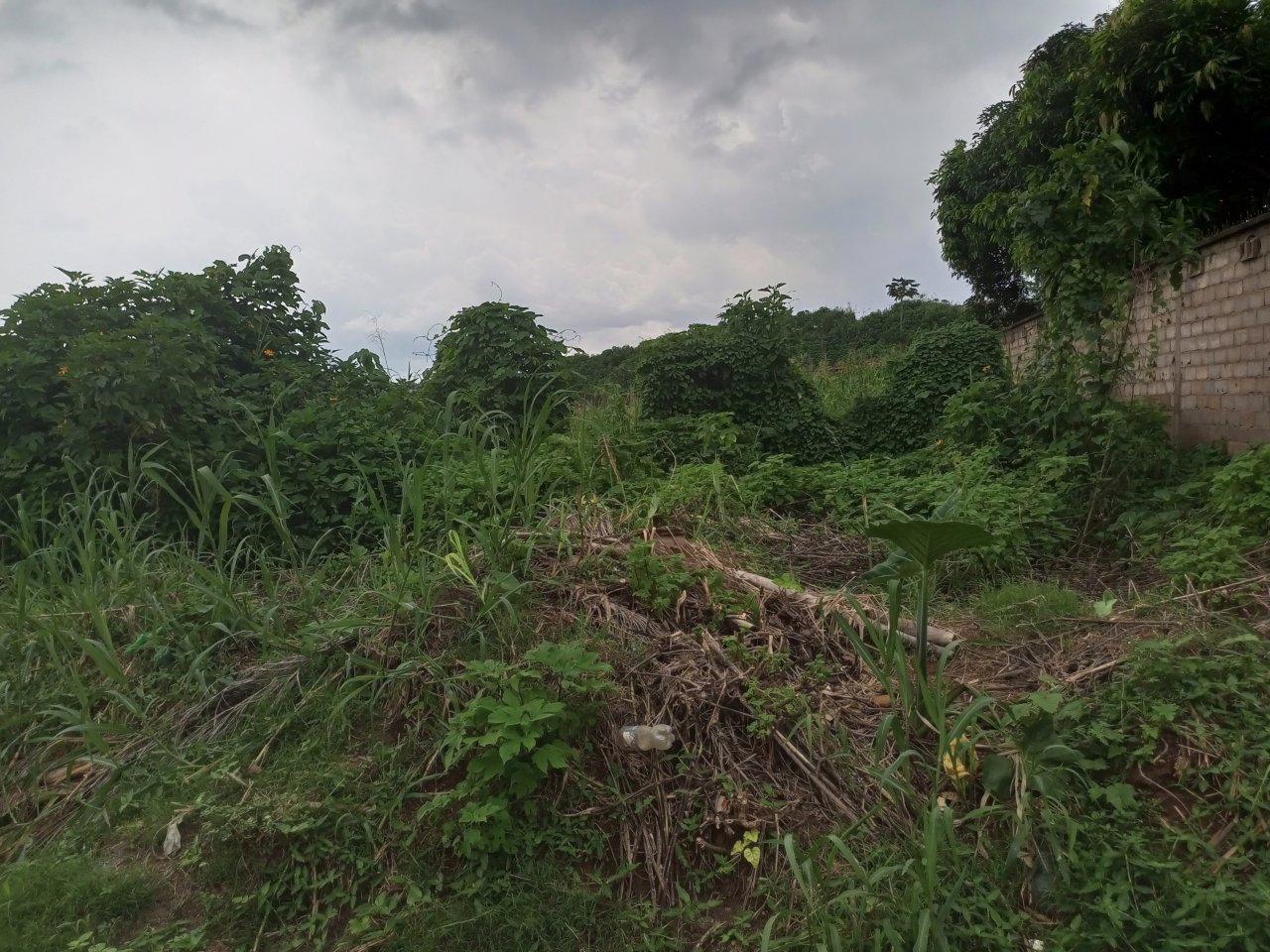 TERRAIN TITRE EN VENTE À ECOPARK ! (Barrière Ahala) — photo 1