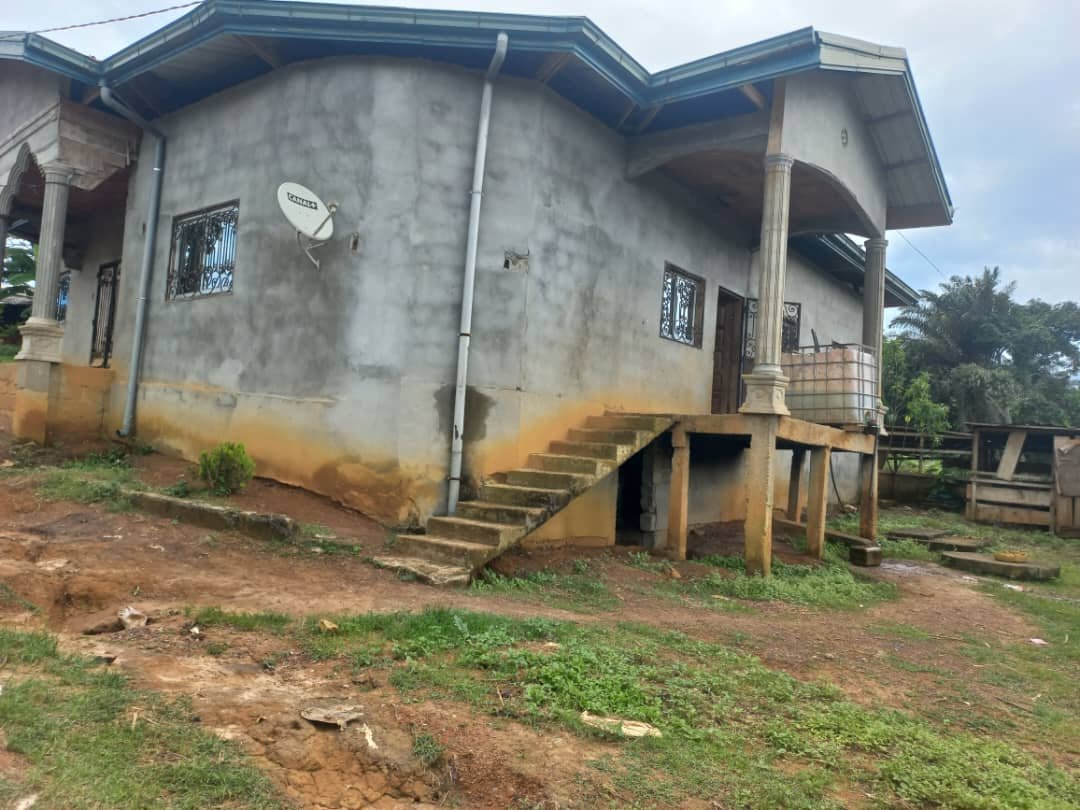 Maison en vente sur l'Axe Yaoundé - Mfou — photo 1