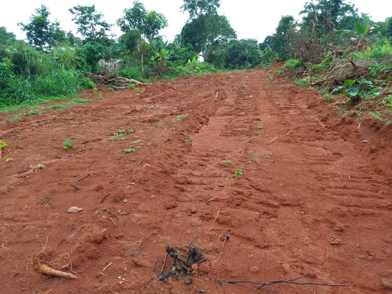 TERRAIN TITRE EN VENTE A YAOUNDÉ 3ème (900F/m²) — photo 3