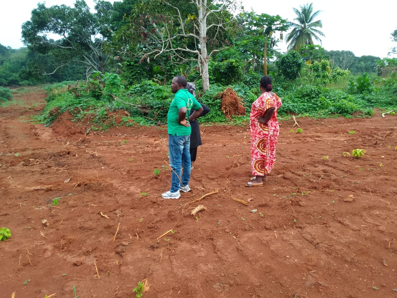 TERRAIN TITRE EN VENTE A YAOUNDÉ 3ème (900F/m²) — photo 4