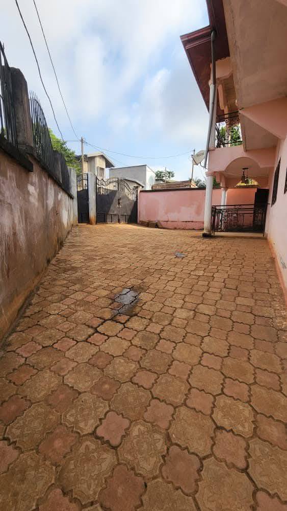 Duplex à louer - Image 2